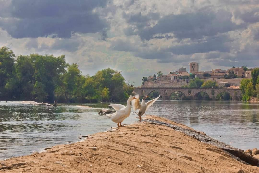 A los Ojos del Río Duero Zamora Exterior foto