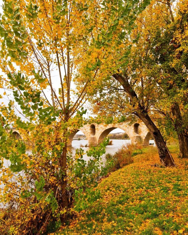 A los Ojos del Río Duero Zamora Exterior foto