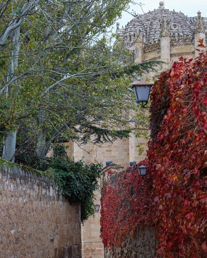 A los Ojos del Río Duero Zamora Exterior foto