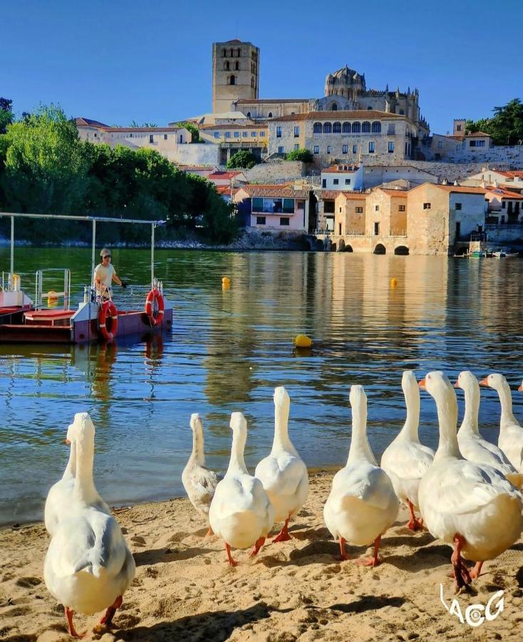 A los Ojos del Río Duero Zamora Exterior foto