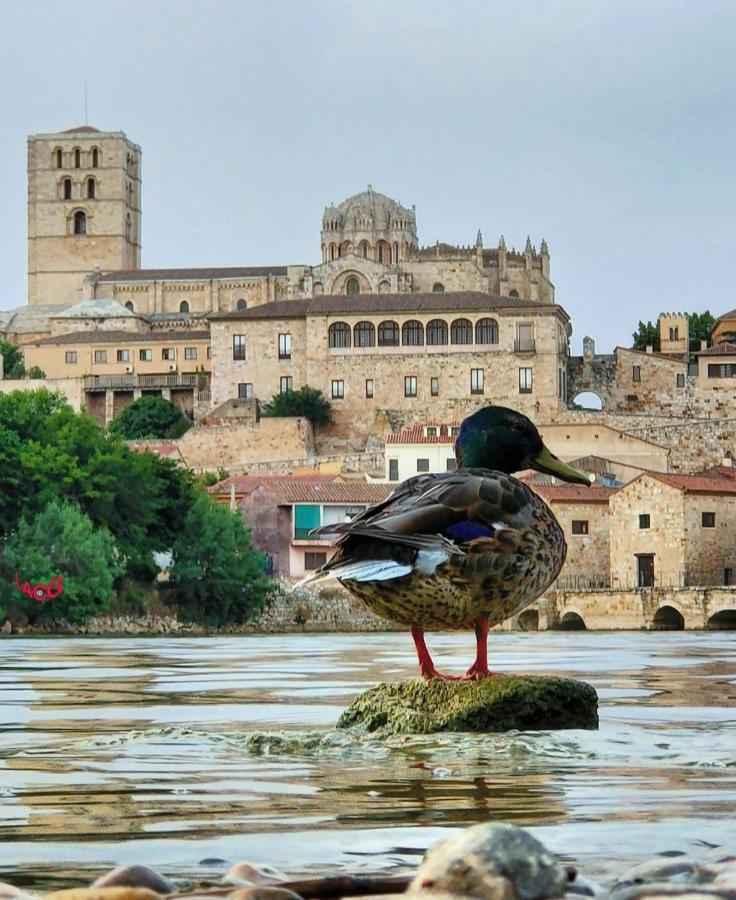 A los Ojos del Río Duero Zamora Exterior foto