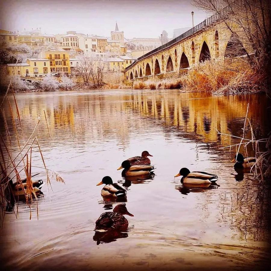 A los Ojos del Río Duero Zamora Exterior foto